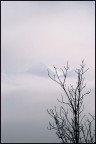 perse nel bianco