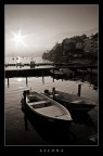 barche al sole barche al sole