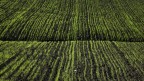 la mia terra....un libro da leggere