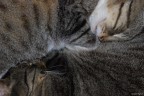 Together