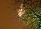 Fuoco fra i rami