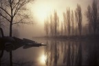 Nebbie sul lago