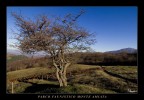 Parco Faunistico