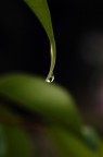 Falling...