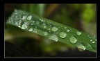 water drops