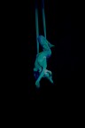 Magie del circo