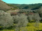 Panorama( Buccheri)-SR