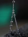 vertice