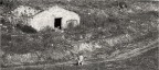 paesaggio desolato