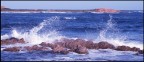 capo comino (NU)