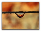 drop 4
