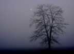 inverno milanese