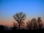 alba invernale...