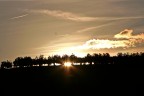 Tramonto tra gli ulivi
