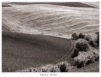 Campagna Toscana