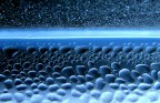 Oceano domestico.....
