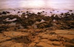 the rocks