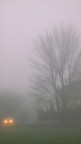 Nella nebbia