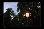 Una delle poche cose belle di Parma  il parco ed i suoi particolari
