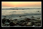 mare