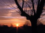 Alba di Forl