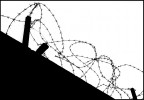 No Freedom