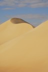 Dune#1
