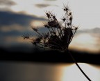 il colore della luce
