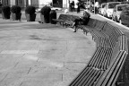 Torino, 28-12-06 (6)