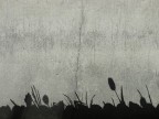 L'ombra dei fiori riflessa sul pavimento