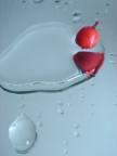 Da una goccia, la vita
