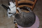All'attacco!!