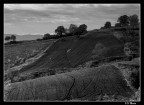 Campo arato