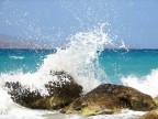 tsunami II