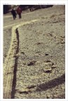 tracce