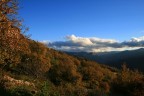 Sembra autunno...