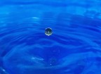 C' voluto un bel po' per realizzarla. 
La particolarit, se riuscite a vederla, sta nel differente colore della goccia rispetto al liquido sottostante... 
Vediamo se qualcuno indovina come  stato ottenuto ;-)