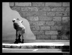 ladro d'acqua