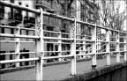 Griglia urbana