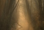 Atmosfera fiabesca