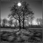 La campagna di Carignano, Torino. #7. Versione b/n La campagna di Carignano, Torino. #7. Versione b/n