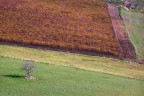 Pendenze naturali