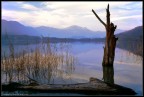 Avigliana, il lago piccolo #2.