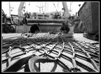 Pescatori