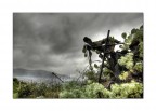 Forgotten faith Pt.II