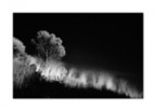 Night vision af the Elisian Fields