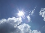 Sole