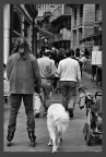 classica street