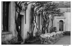 Malinconoia