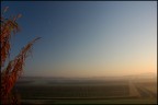 winter fog (sottotitolo - maledeta pianura padana)